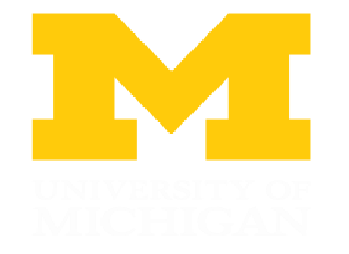 mictican University